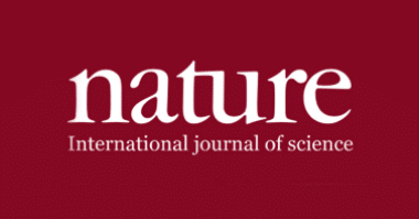 Neutrino Energy