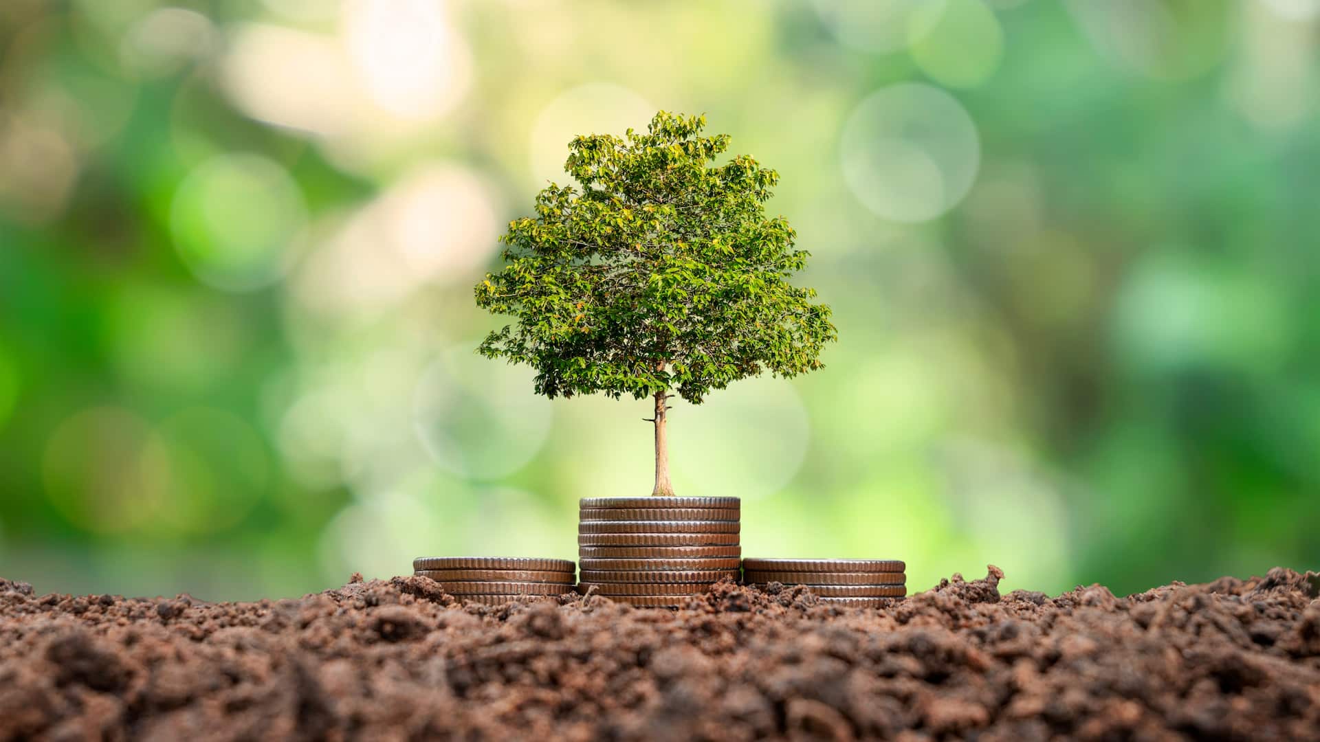how-invisible-energy-can-power-visible-change-in-developing-economies