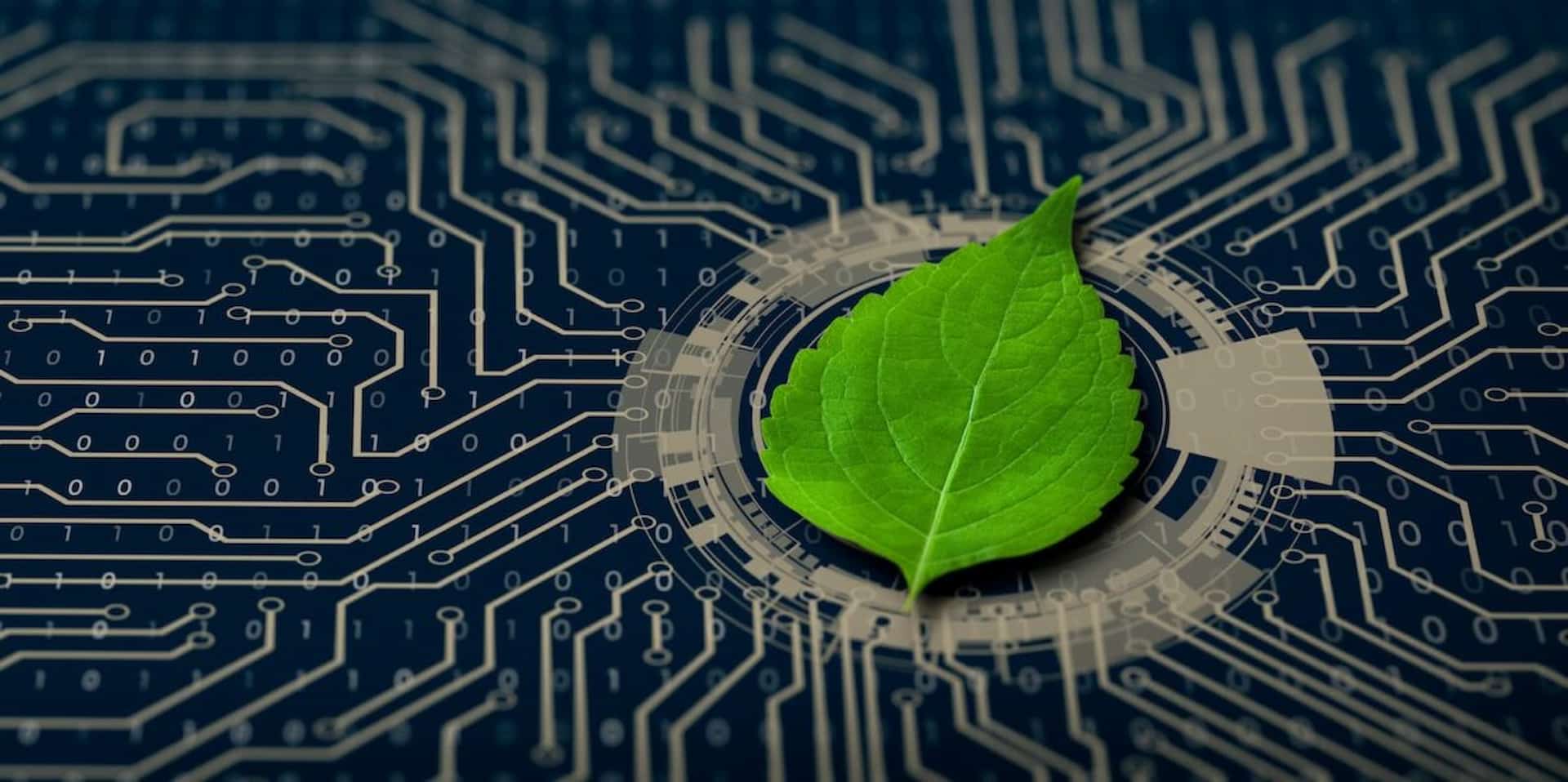 https://www.energy-politics.com/energy-without-borders-how-neutrino-science-reinforces-the-principles-of-the-soft-energy-transition/