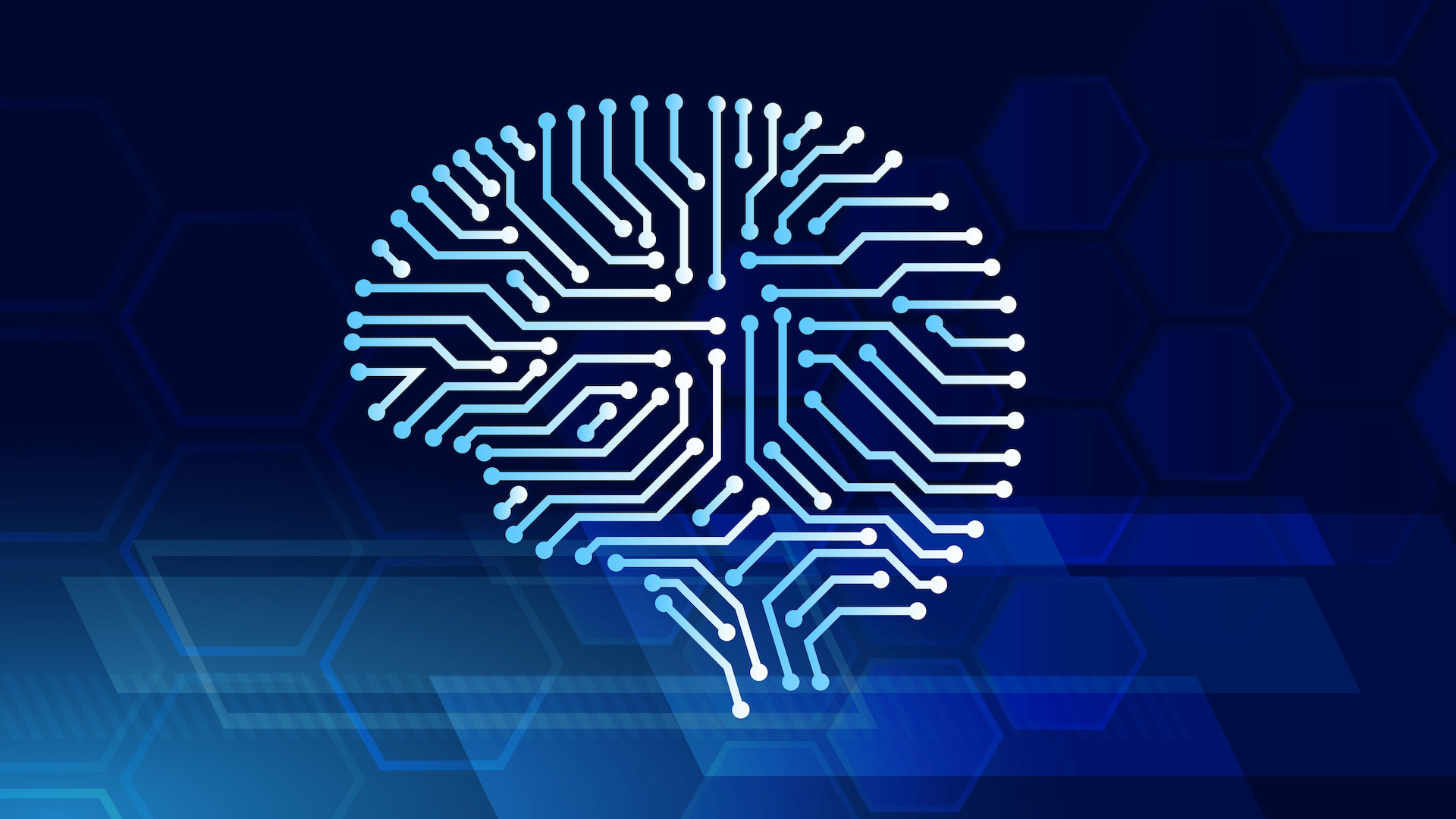 rethinking-intelligence-a-conversation-with-holger-thorsten-schubart