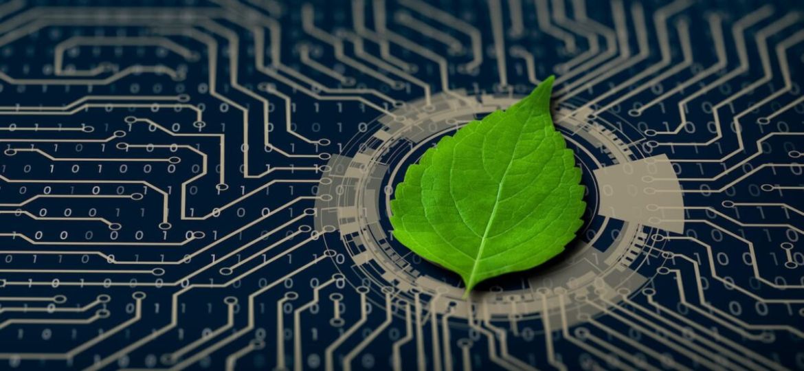 investing-for-a-clean-and-sustainable-future-e1647713856305