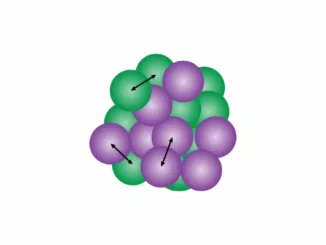 the-strong-and-weak-nuclear-forces
