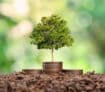 how-invisible-energy-can-power-visible-change-in-developing-economies