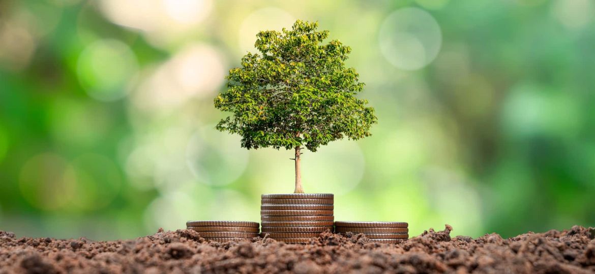 how-invisible-energy-can-power-visible-change-in-developing-economies