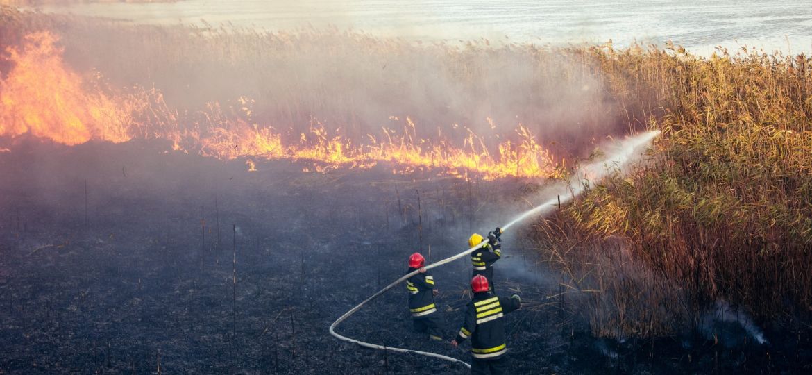 europe-is-burning-the-urgent-case-for-independent-energy-sources