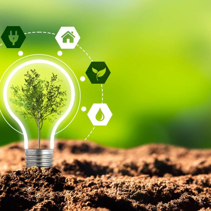 Emerging Energy Technologies and the Rules Written for a Different World